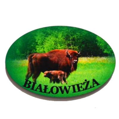 Magnes białowieża żubr park białowieski pamiątki