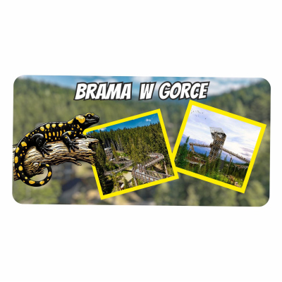 magnes, pamiątka, na lodówkę, salamandra, panorama, widokówka