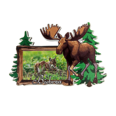 magnes, pamiątka, na lodówkę, Łoś, żubr, białowieża, bieszczady