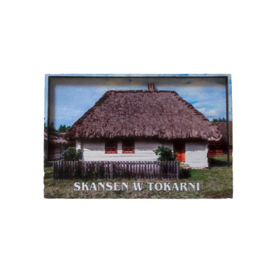 magnes, pamiątka, sowa