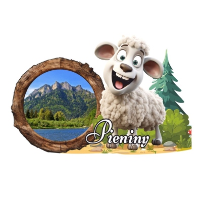 magnes,owca, pieniny, muszyna, krynica